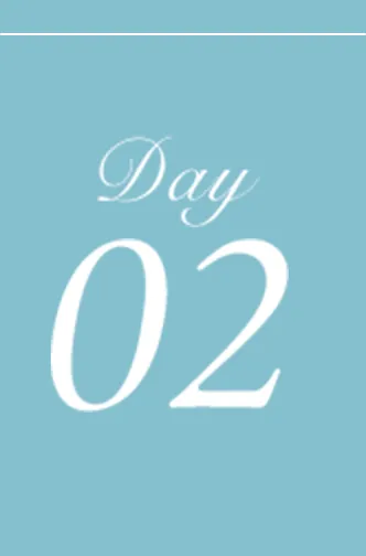 Day 02